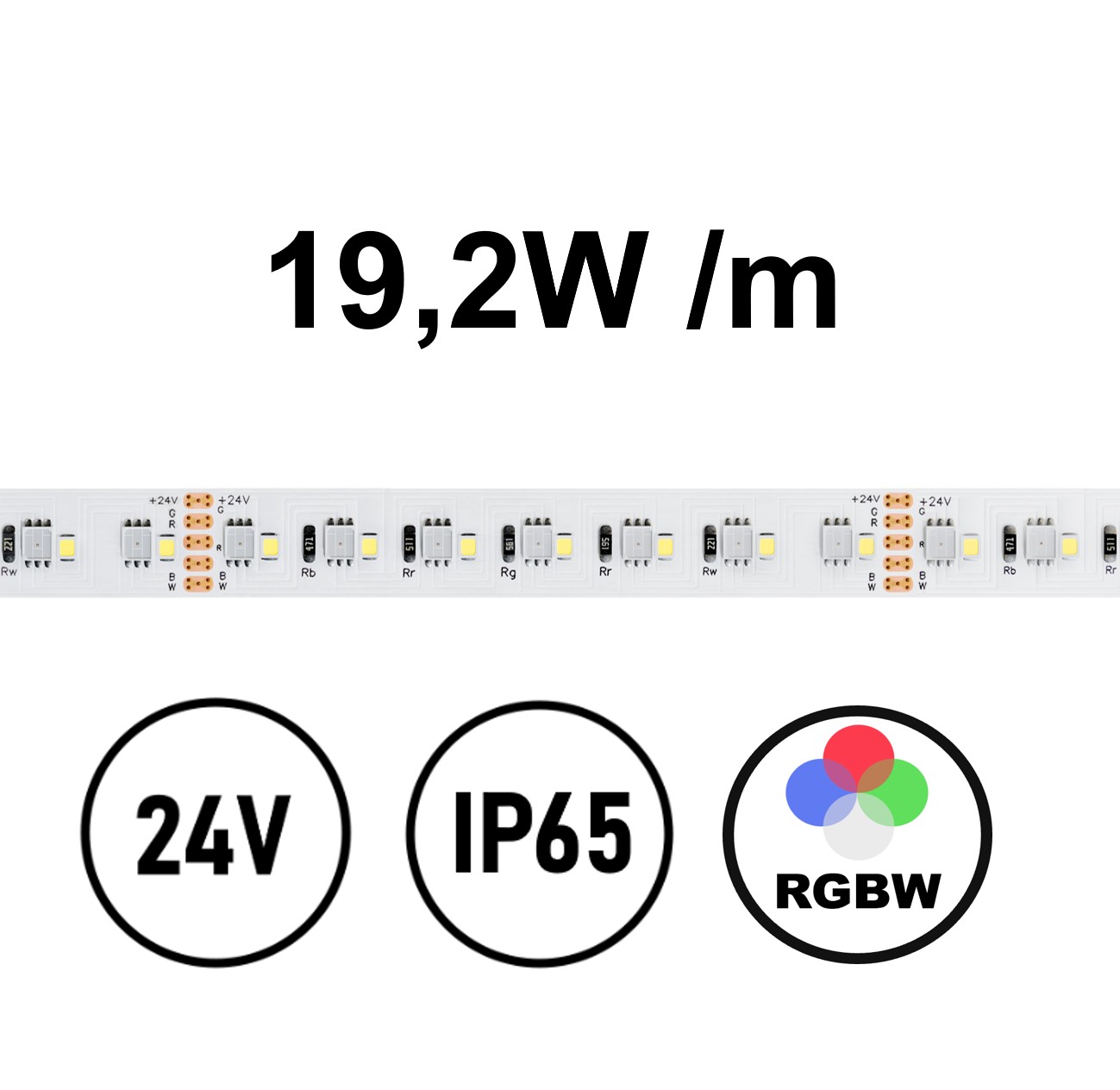 Striscia LED RGB+WW 19,2W IP65 24V