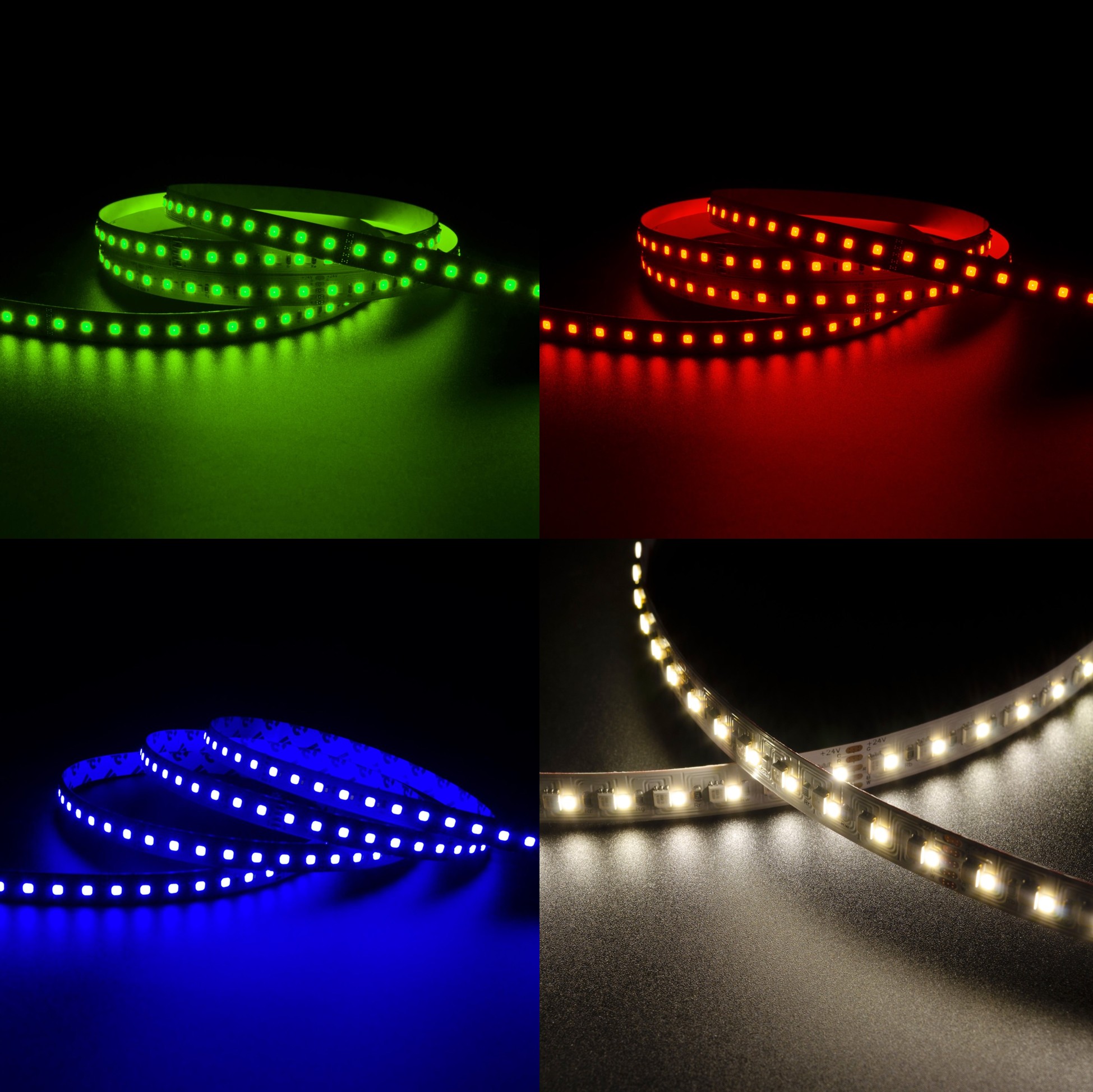 Striscia LED RGB+WW 19,2W IP20 24V