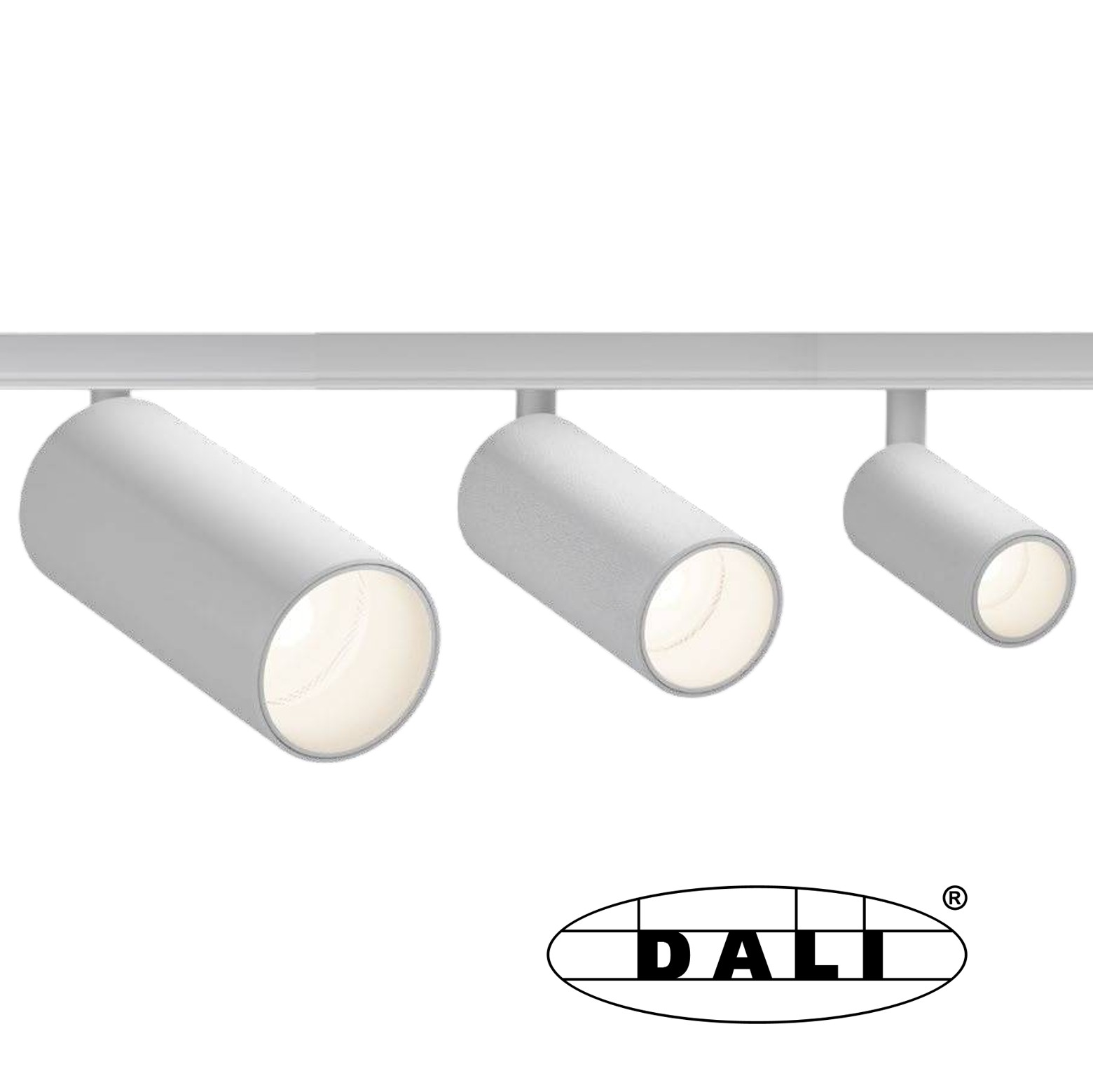 48V-Faretto LED bianco