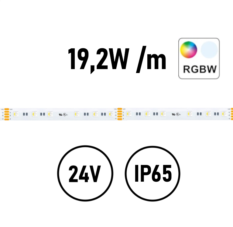 Striscia LED RGB+WW 19,2W IP64 24V Striscia LED RGB+WW 19,2W IP64 24V