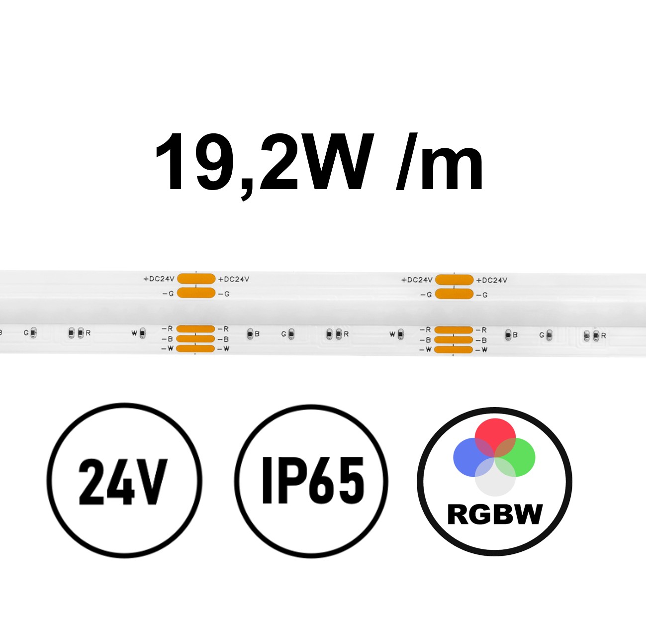Striscia LED COB RGB+WW 19,2W IP65 24V