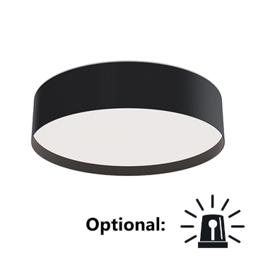 Deckenleuchte LED IP54 Schwarz