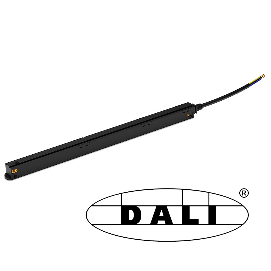 Driver 48V 100W DALI