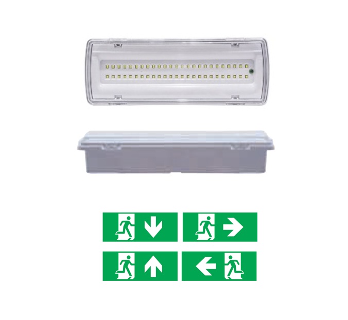 Luce di emergenza a LED IP65 4W 3h