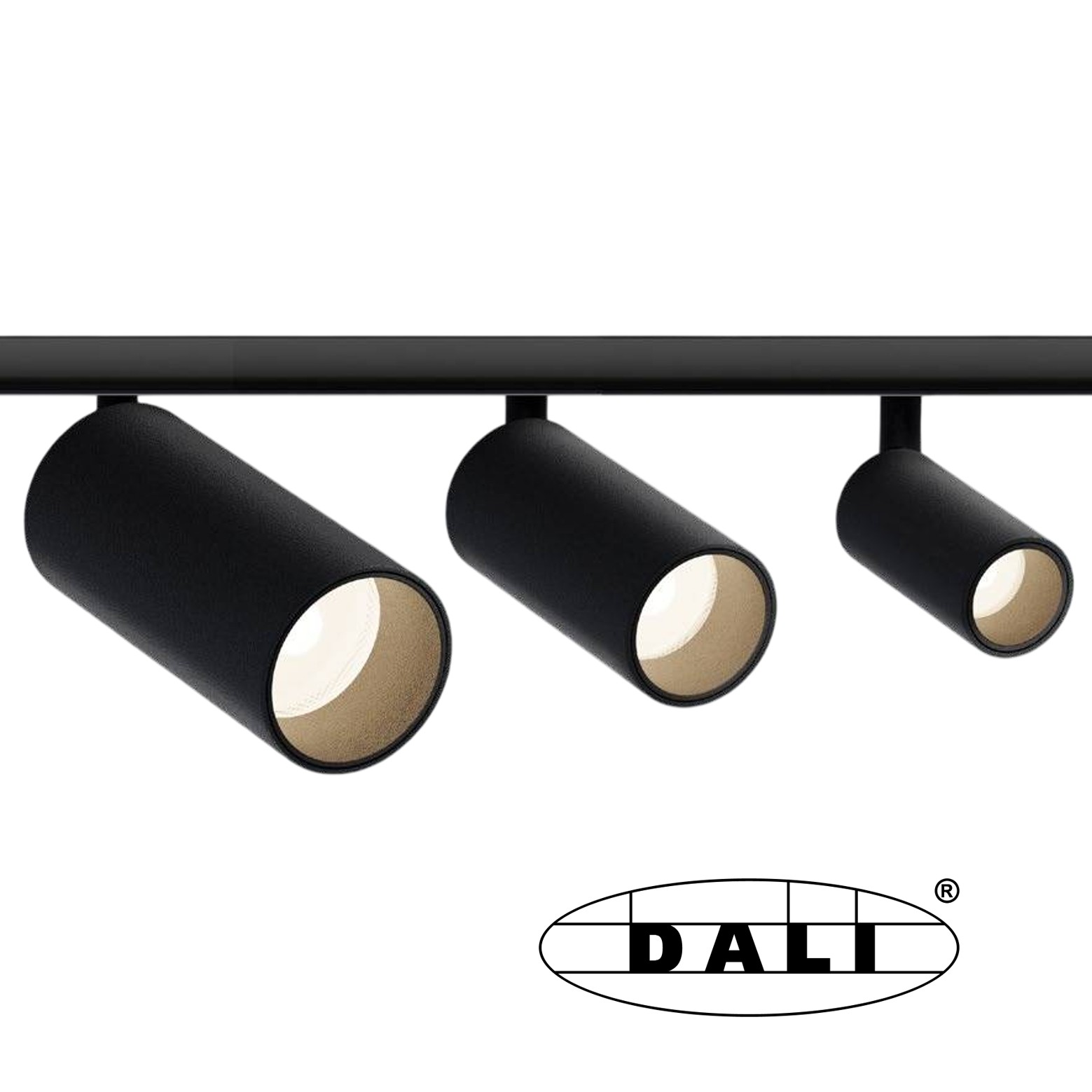 48V-Strahler LED Schwarz