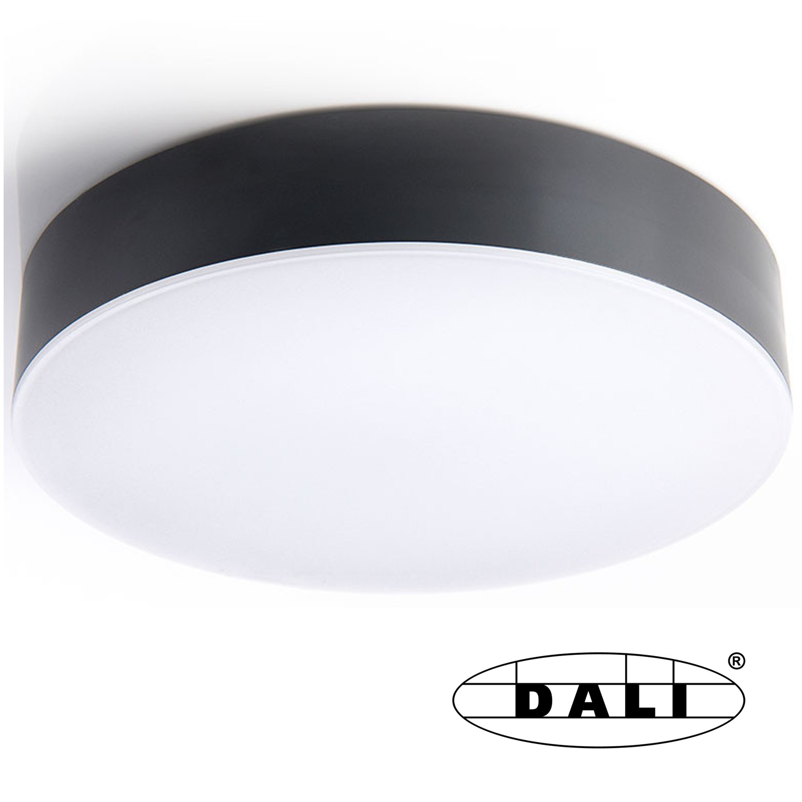 LED Deckenleuchte IP65 Ø32cm DALI